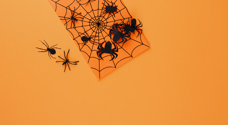 spider web craft